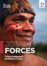 Joining forces: titling indigenous territories in Peru
